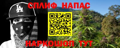 ешки Кингисепп