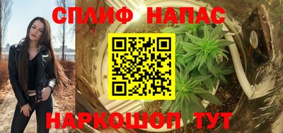 ешки Кингисепп