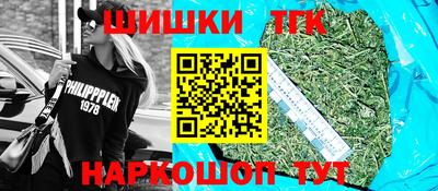 ешки Кингисепп