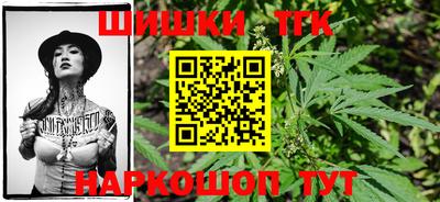 ешки Кингисепп