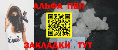 ешки Кингисепп