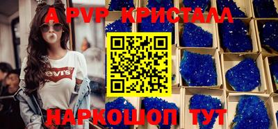 ешки Кингисепп