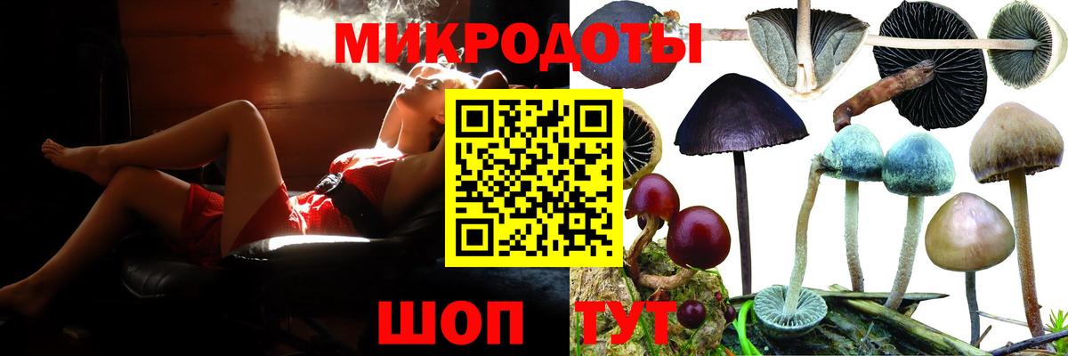 Псилоцибиновые грибы Cubensis Костомукша